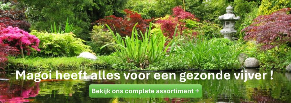 Magoi heeft alles voor een gezonde vijver.