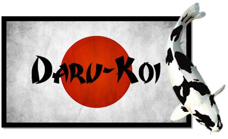 Daru-Koi