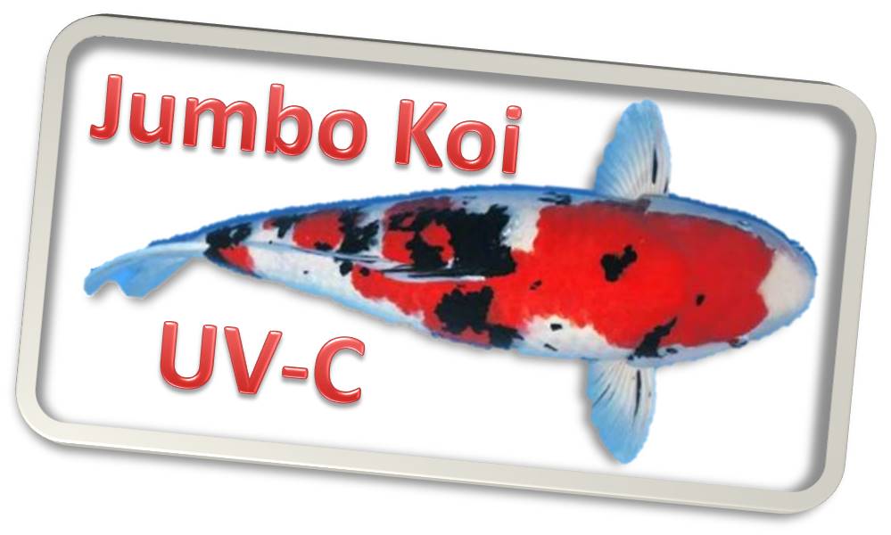 Jumbo Koi Vervanglampen