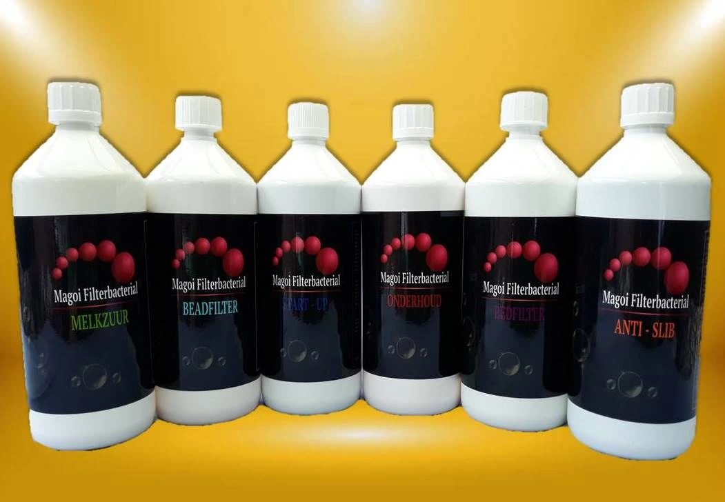 Magoi Bacterien Magoi Bacterien