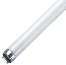 Losse TL vervanglampen Losse TL vervanglampen