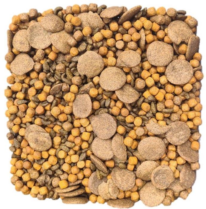 Koisnoep en Koisnack