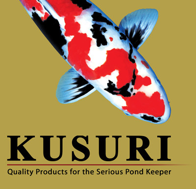 Kusuri Koivoer Kusuri Koivoer