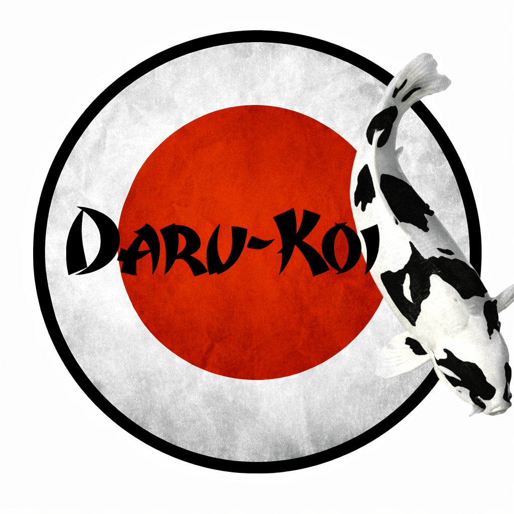 Over Daru-Koi