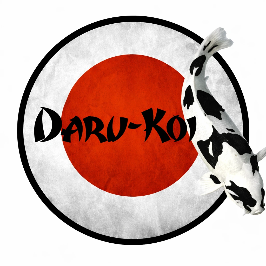 Over Daru-Koi