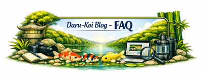 Daru-Koi Blog - FAQ