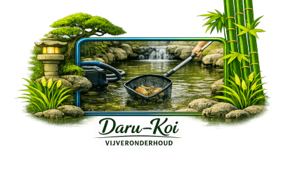 Vijver Onderhoud