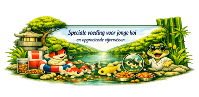 Speciale voeding voor jonge koi en opgroeiende vijvervissen
