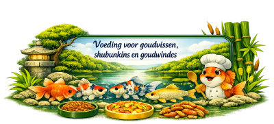 Voeding voor goudvissen, shubunkins en goudwindes