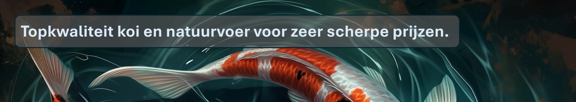 visvoer, koivoer, natuurvoer, aktie, aanbieding, korting, laagste prijs