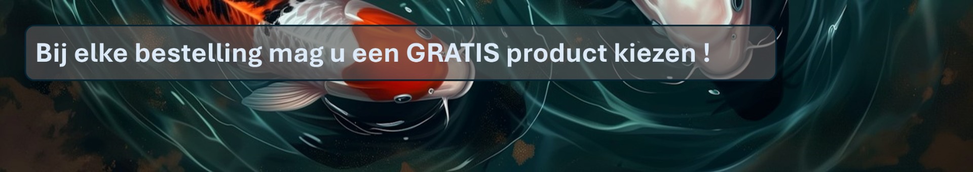 daru-Koi biedt u bij elke bestelling een gratis product aan.