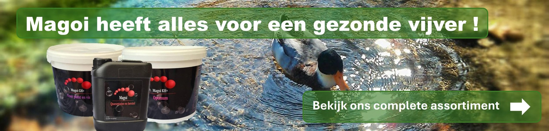 Magoi waterverzorging
